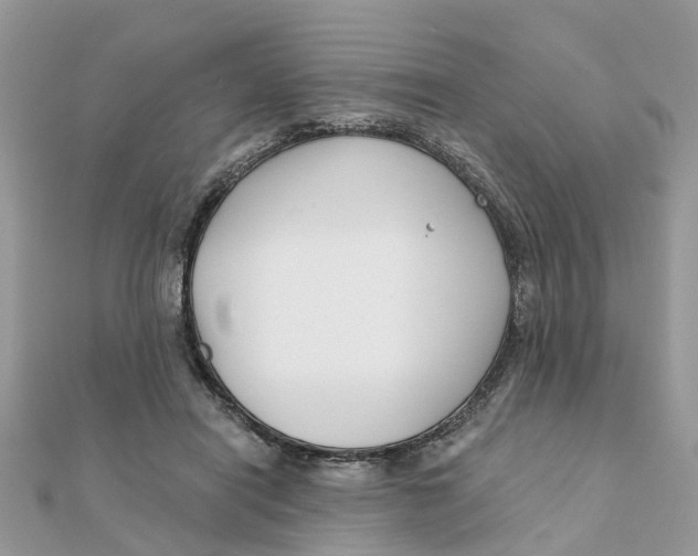 X0000111890454200908131658