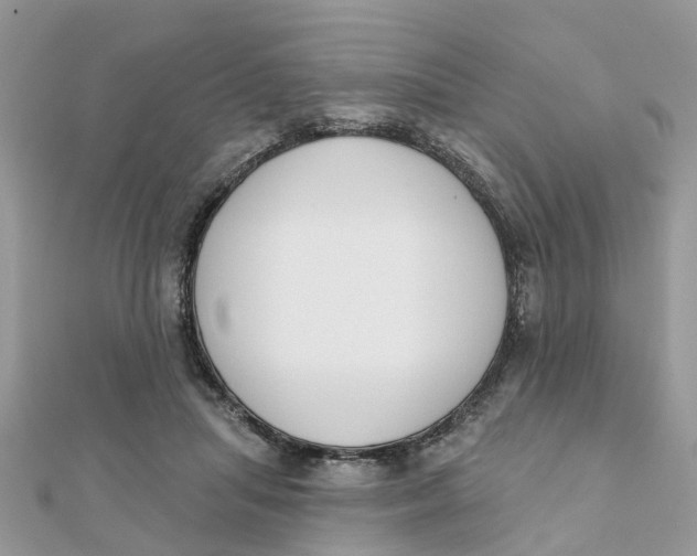 X0000111890455200908131658