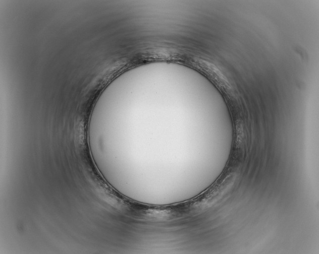 X0000111890457200908131658