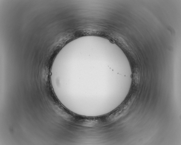 X0000111890458200908131658