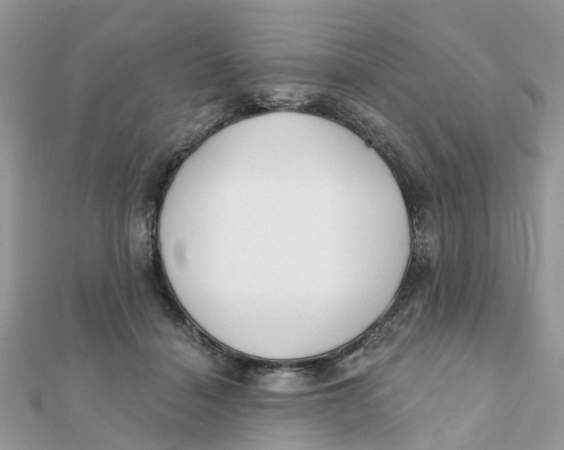 X0000111890460200908131658