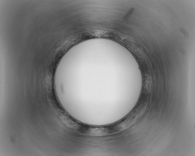 X0000111890461200908131658