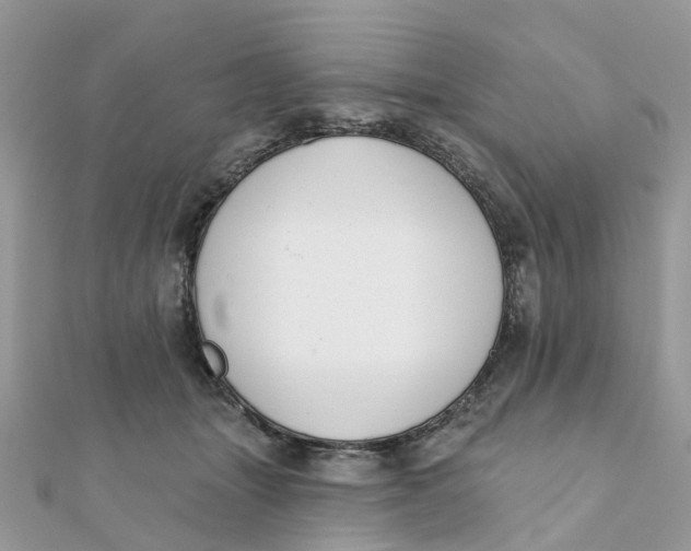 X0000111890463200908131658