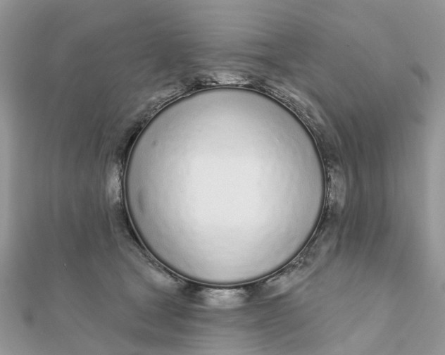 X0000111890465200908131658