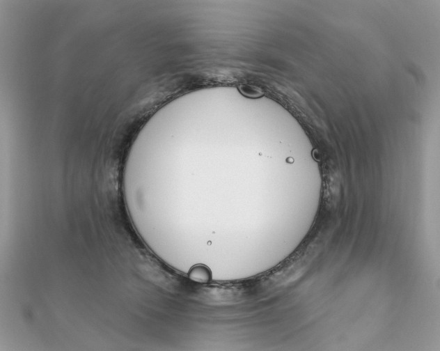 X0000111890466200908131658