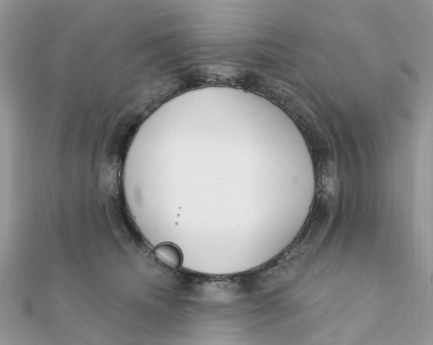 X0000111890468200908131658