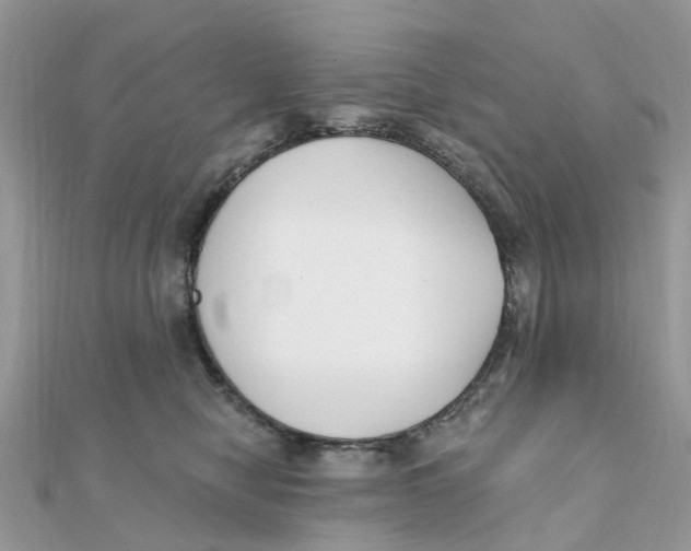 X0000111890470200908131658