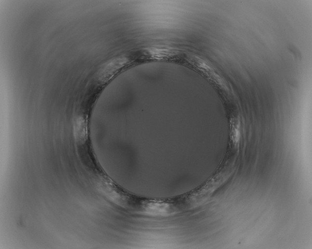 X0000111890471200908131658