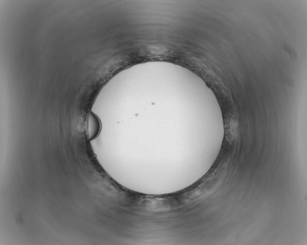 X0000111890472200908131658