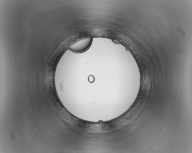 X0000111890473200908131658