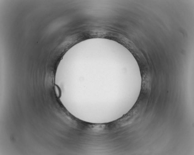 X0000111890474200908131659