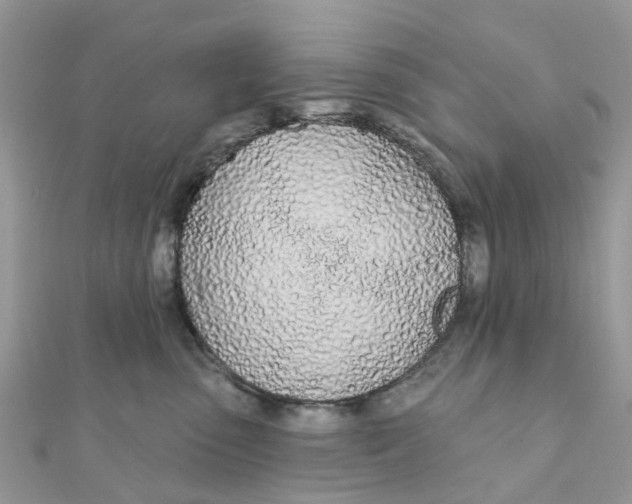 X0000111890475200908131659