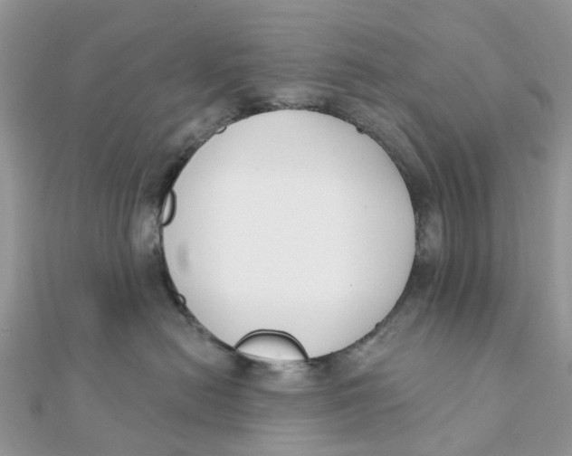 X0000111890478200908131659