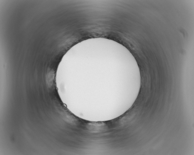 X0000111890480200908131659