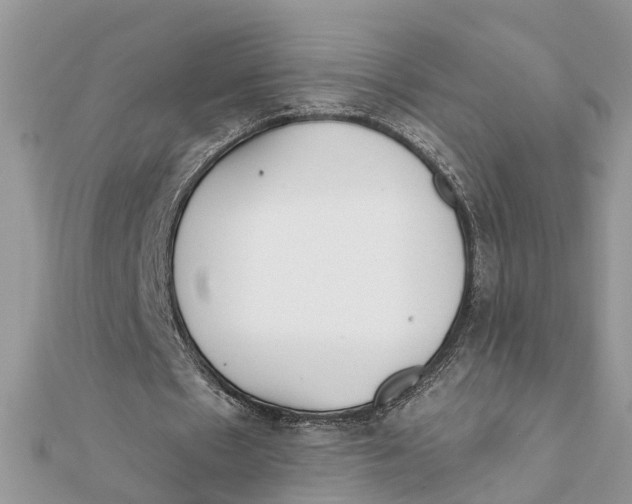 X0000111890481200908131658