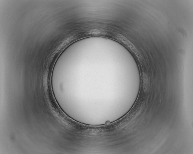 X0000111890482200908131658