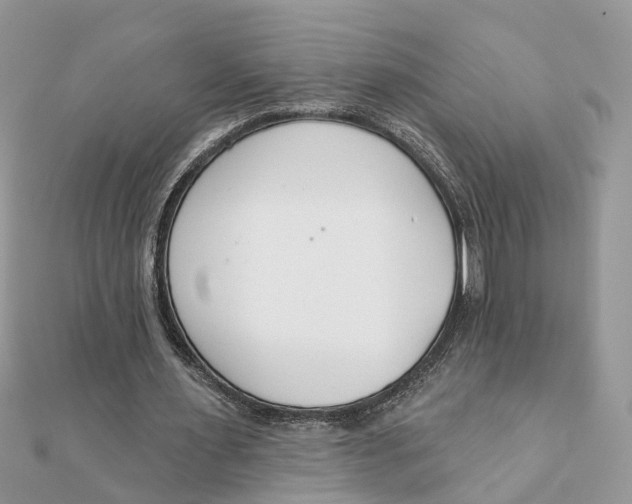 X0000111890483200908131658