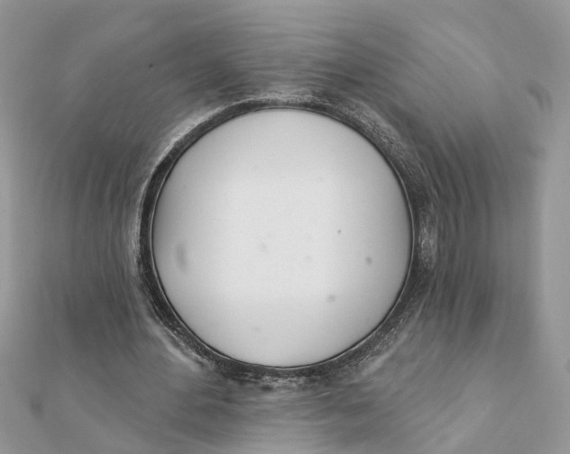 X0000111890484200908131658