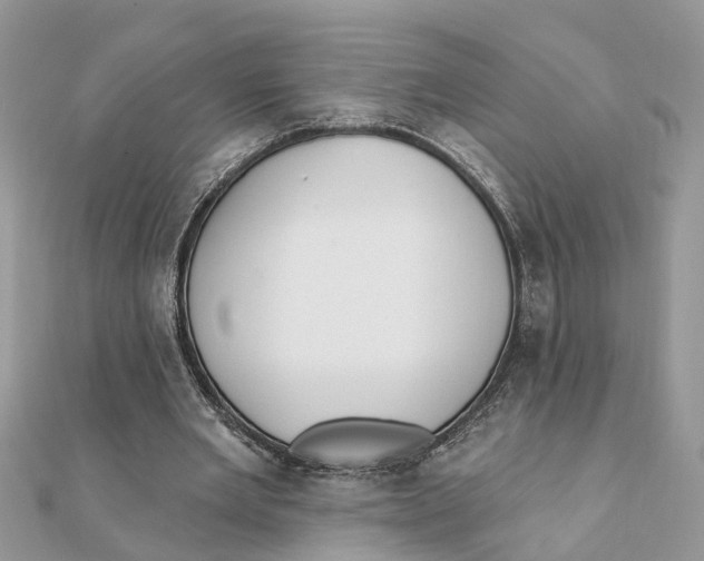 X0000111890485200908131658