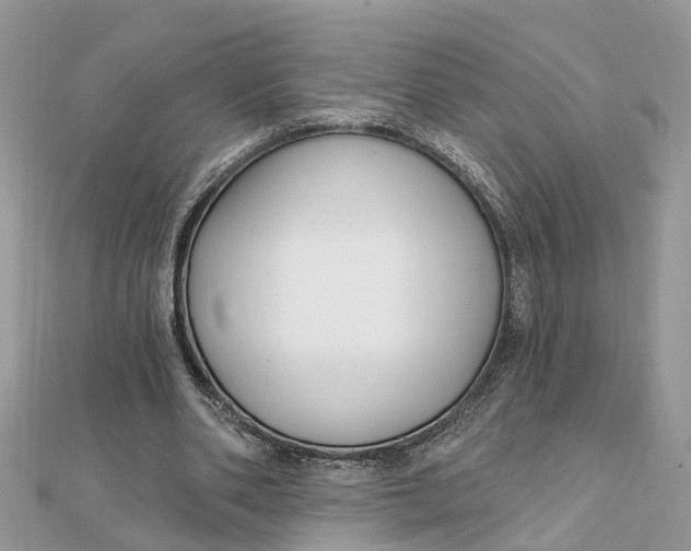 X0000111890486200908131658