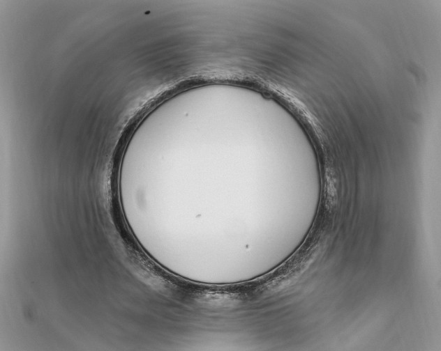 X0000111890487200908131658