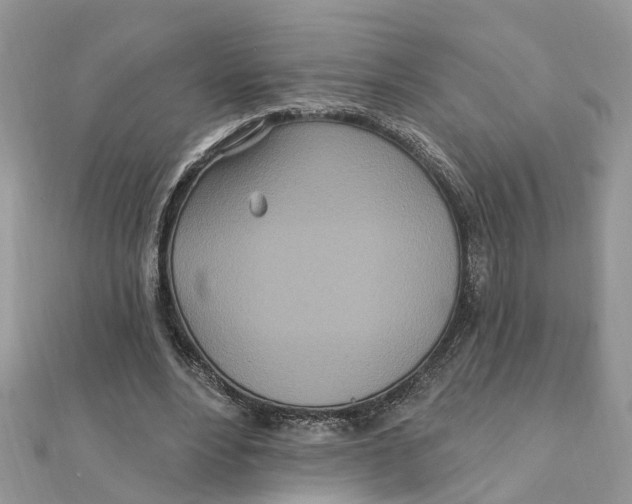 X0000111890488200908131658