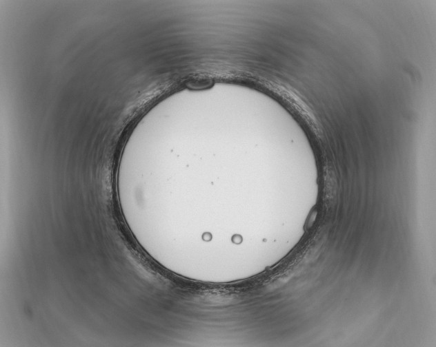 X0000111890489200908131658