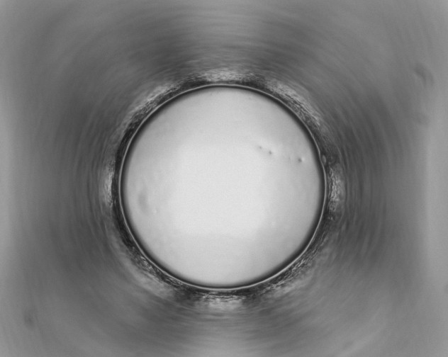 X0000111890491200908131658