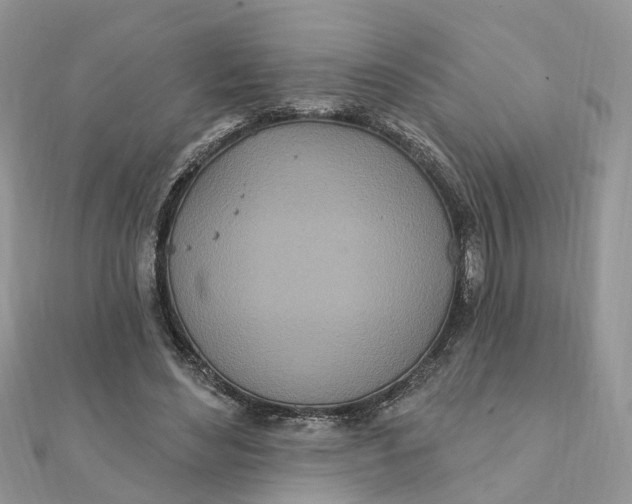 X0000111890492200908131658