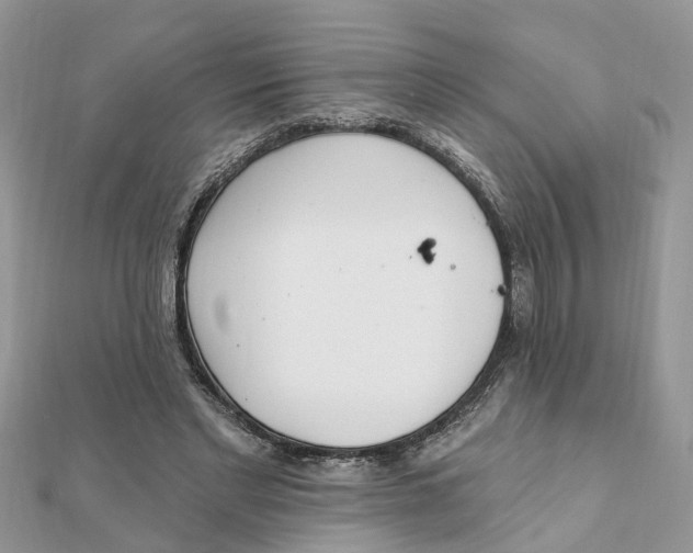 X0000111890493200908131658