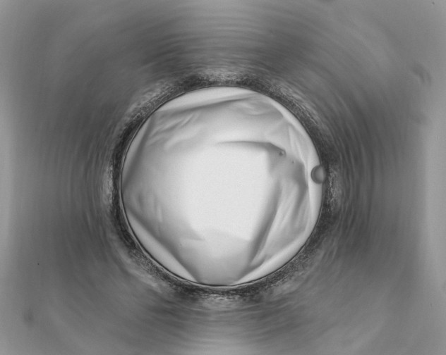 X0000111890494200908131658