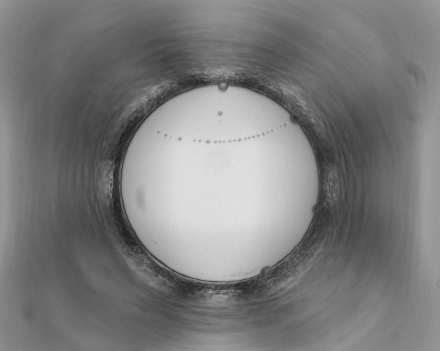 X0000111890495200908131658