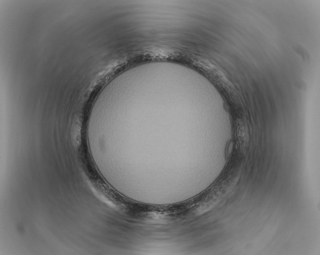 X0000111890496200908131658