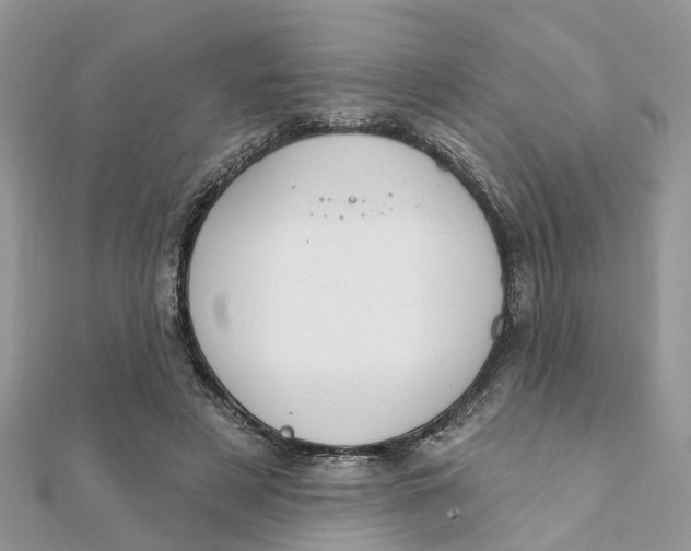 X0000111890497200908131658