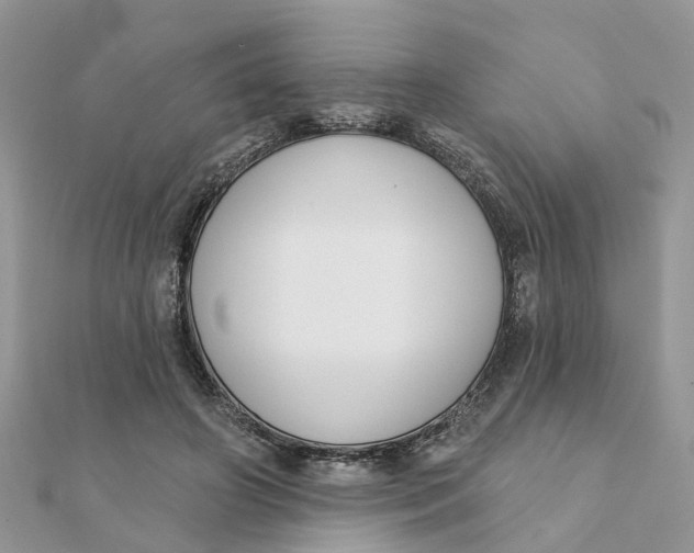 X0000111890498200908131658