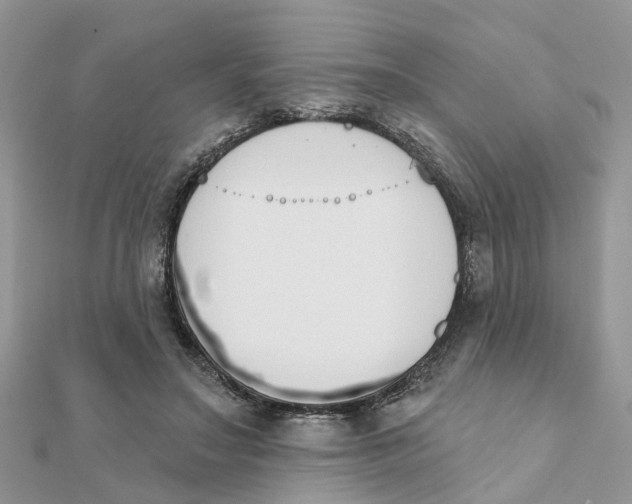 X0000111890499200908131658