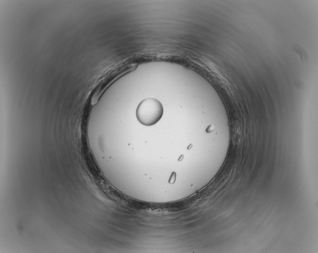 X0000111890500200908131658