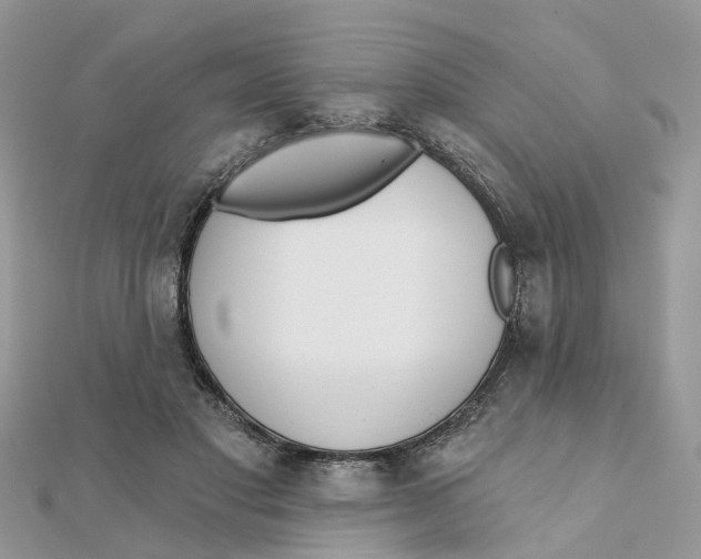 X0000111890501200908131658