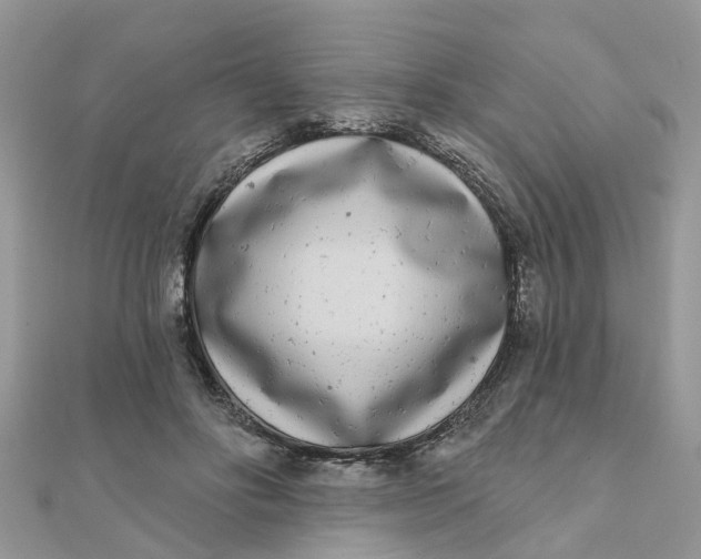 X0000111890502200908131658