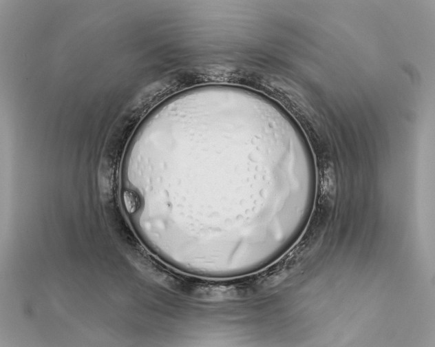 X0000111890503200908131658