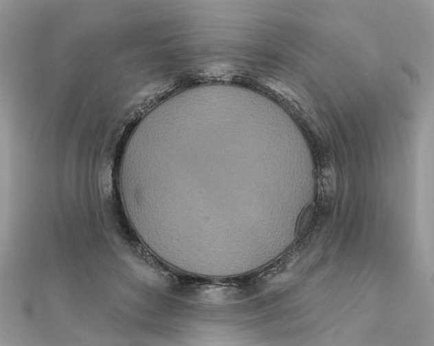 X0000111890504200908131658