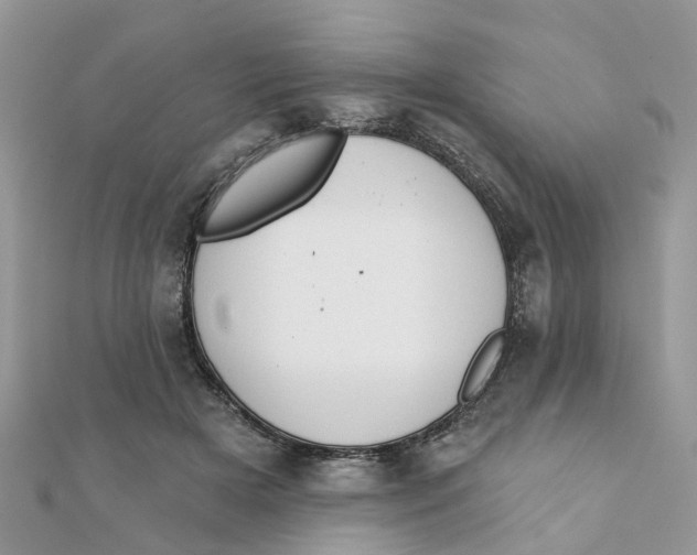 X0000111890505200908131658