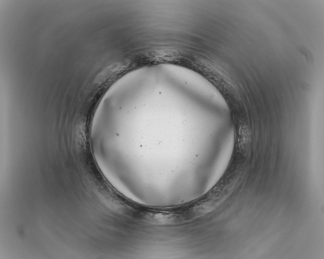 X0000111890506200908131658