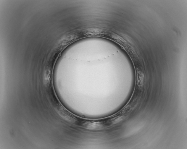 X0000111890507200908131658