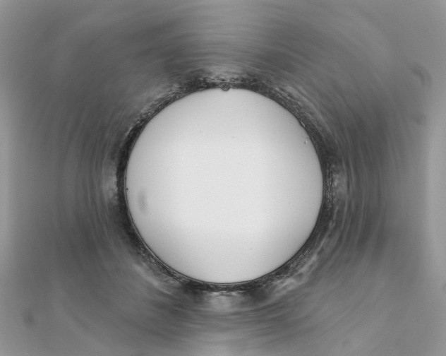 X0000111890508200908131658