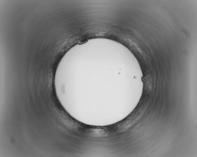 X0000111890509200908131658