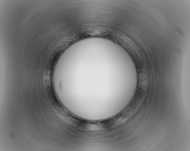 X0000111890510200908131658