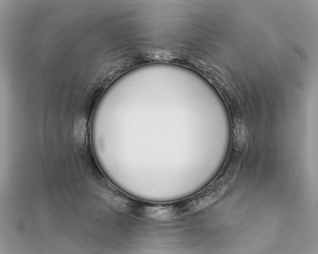 X0000111890511200908131658