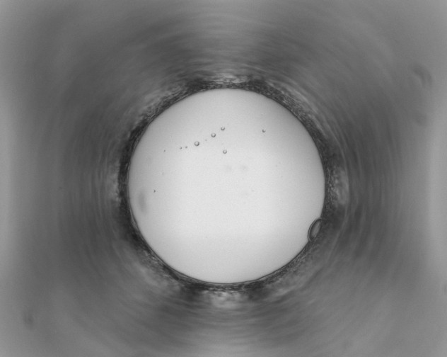 X0000111890512200908131658