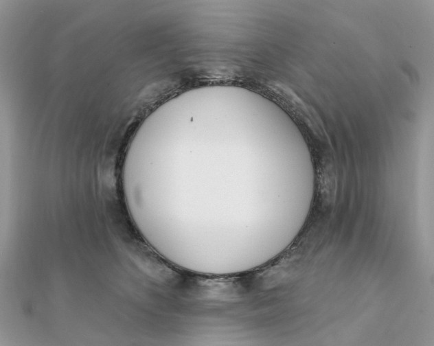 X0000111890516200908131658